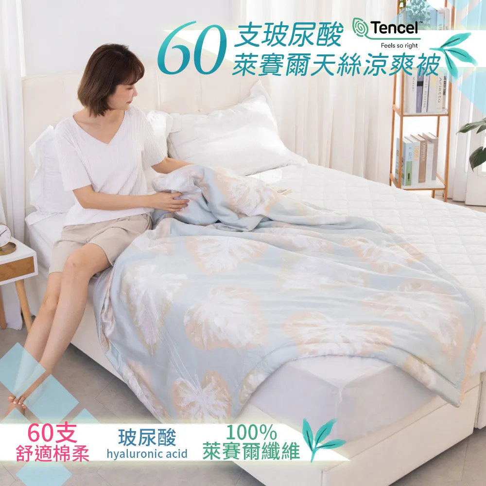 【AmissU】100%60支玻尿酸天絲睡出水光肌涼被(5x6.5呎)2入-乖乖熊 歷史價格詳細信息