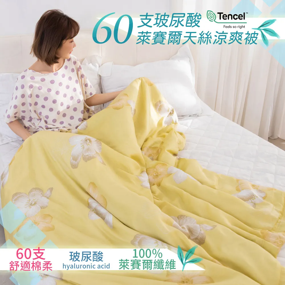 【AmissU】100%60支玻尿酸天絲睡出水光肌涼被(5x6.5呎)2入-乖乖熊 歷史價格詳細信息