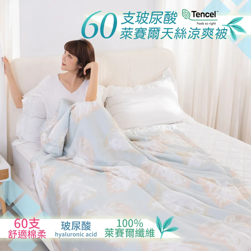 【AmissU】100%60支玻尿酸天絲睡出水光肌涼被(5x6.5呎)2入-乖乖熊 歷史價格詳細信息