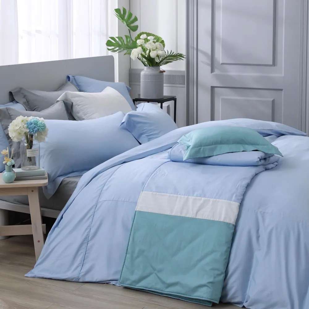 【A-nice】台灣製 飯店御用 立體隔間 95%天然極保暖羽絨被(雙人 6x7呎 / WS5/ 冬被) 歷史價格詳細信息