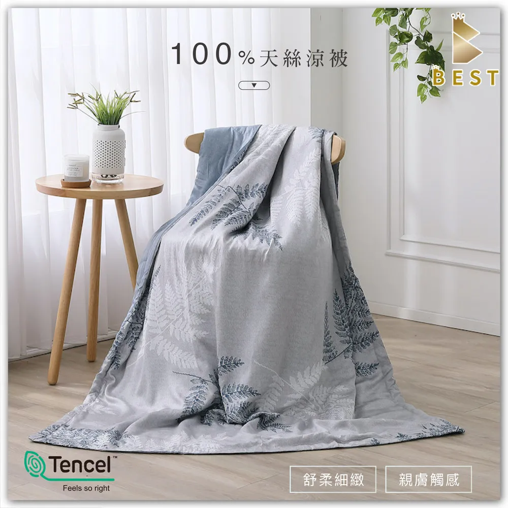 【BEST貝思特】天絲涼被 100%萊賽爾天絲 台灣製 多款任選 TENCEL 歷史價格詳細信息