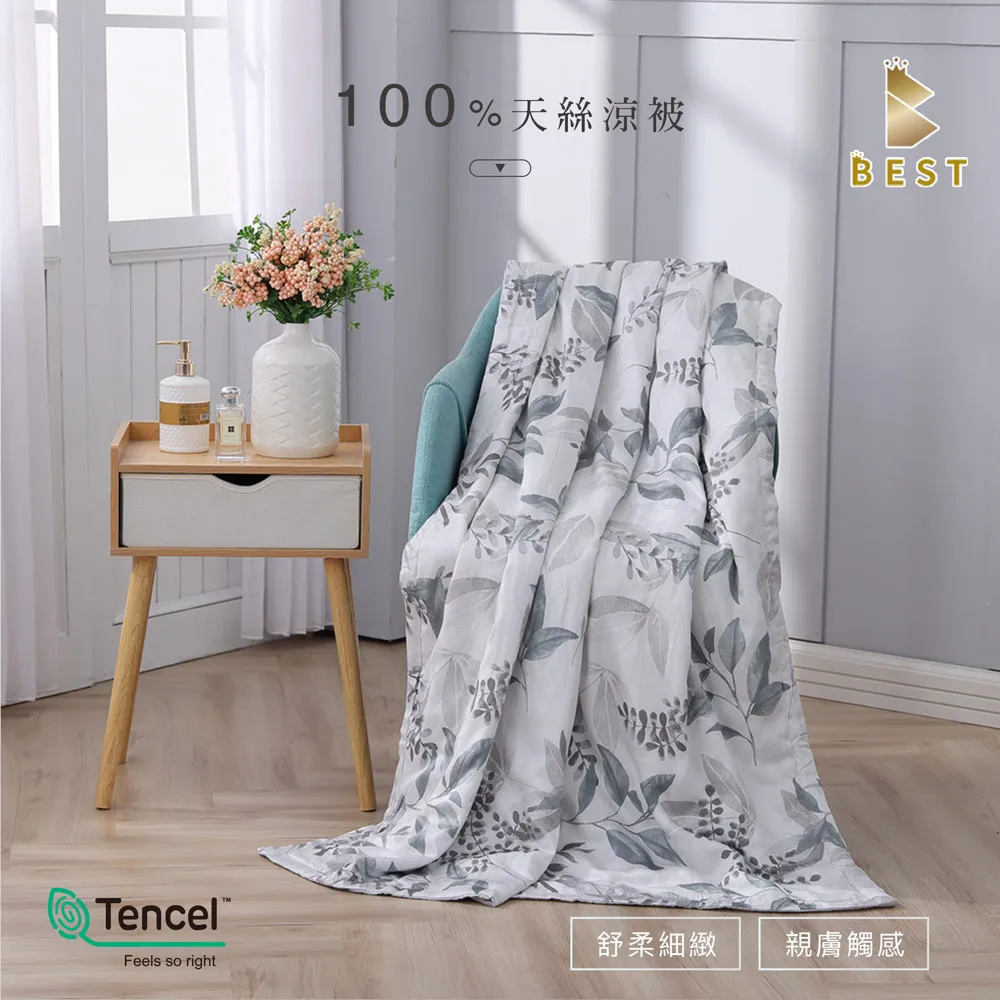 【BEST貝思特】天絲涼被 100%萊賽爾天絲 台灣製 多款任選 TENCEL 歷史價格詳細信息