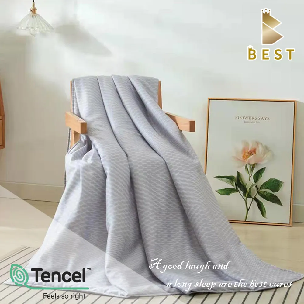 【BEST貝思特】天絲涼被 100%萊賽爾天絲 台灣製 多款任選 TENCEL 歷史價格詳細信息