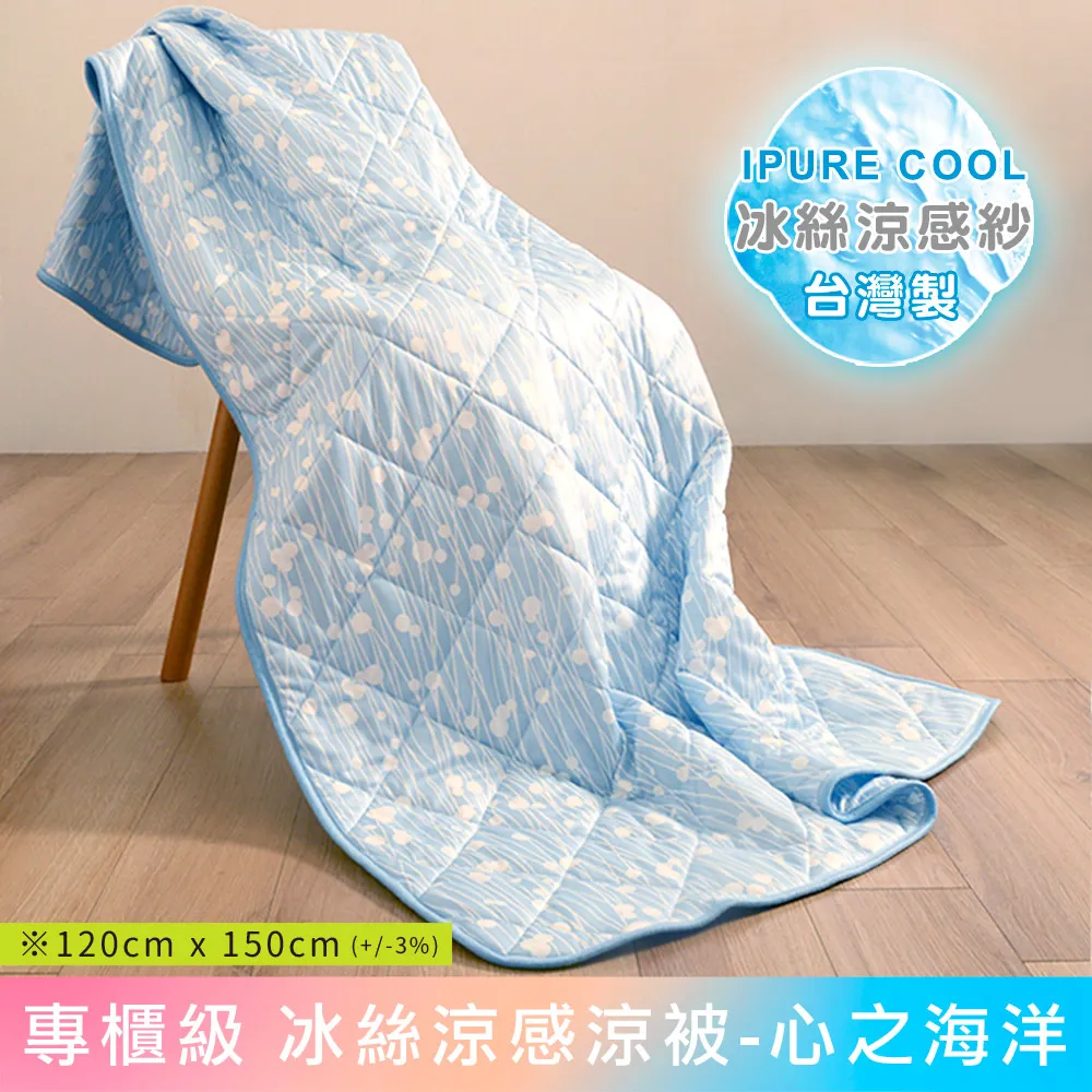 《Embrace英柏絲》台灣製Q彈釋壓 獨立筒彈簧枕頭 耐用不塌陷 好眠枕頭 偏硬枕(兩入) 歷史價格詳細信息