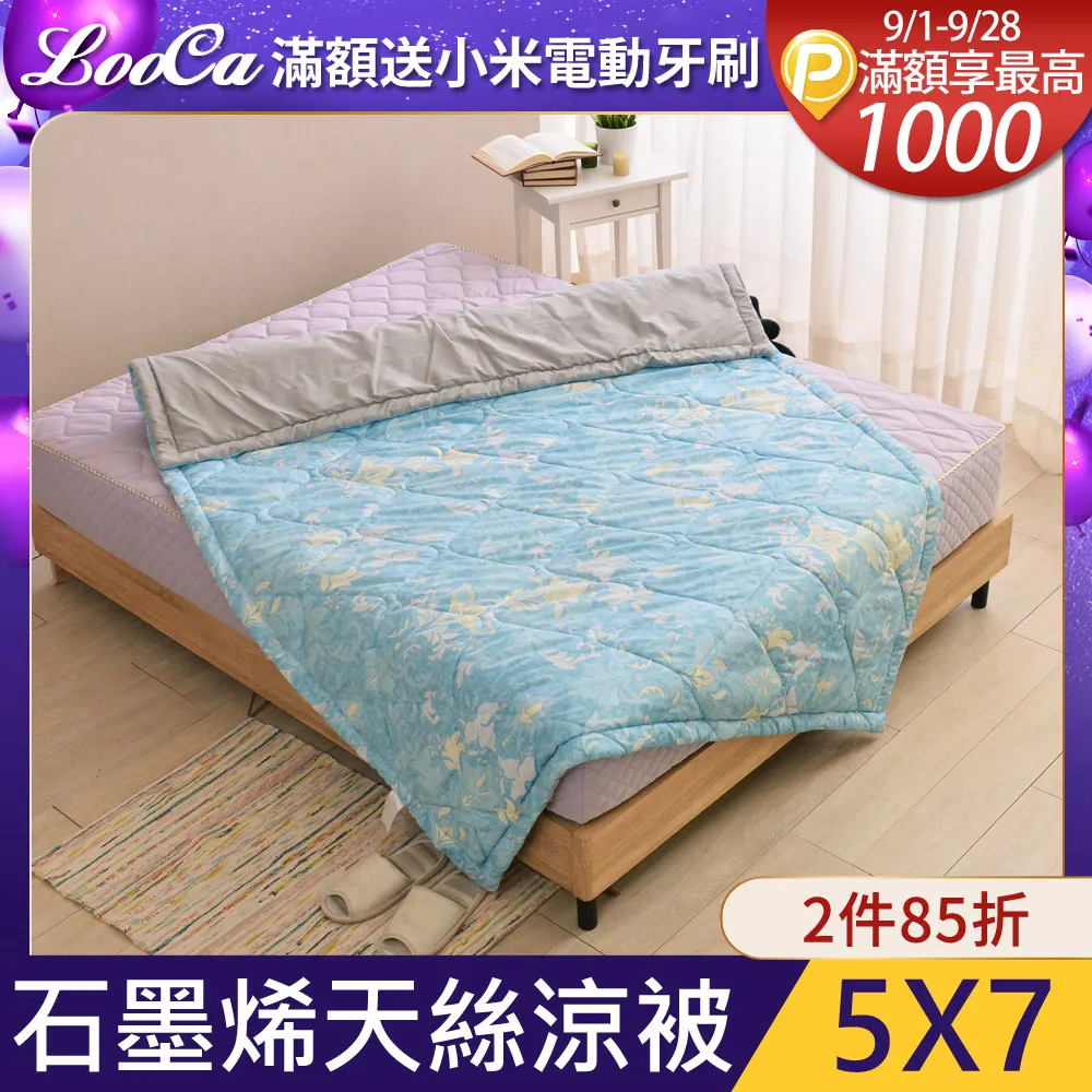 LooCa醫療等級100%石墨烯遠紅外線瞬熱被1入 歷史價格詳細信息