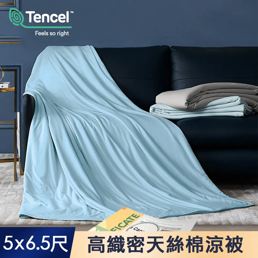 【J-bedtime】高織密100%精梳棉加大四件舖棉兩用被套床包組-30%天絲入棉(滿天星願) 歷史價格詳細信息