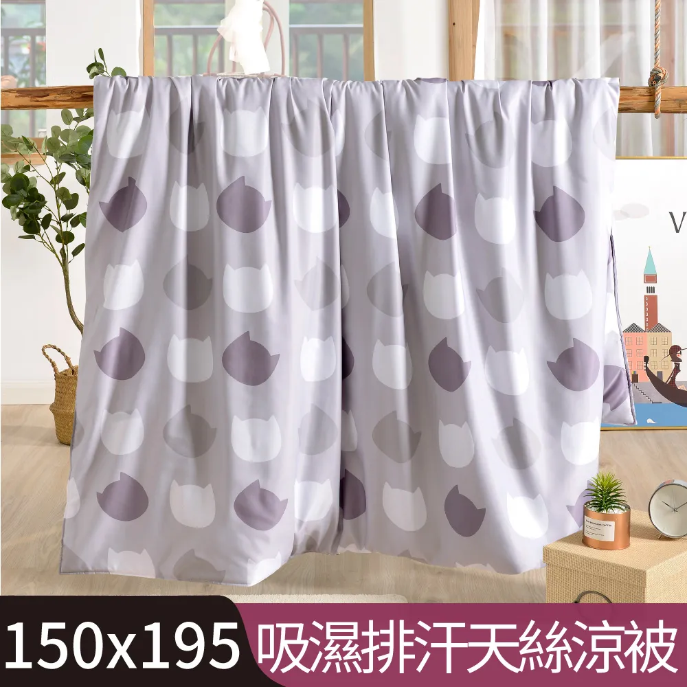 【Betrise貓說午後】C量能系列 單人/雙人/加大/特大 100%奧地利天絲™光淬石墨烯四件式兩用被床包組 可超取 歷史價格詳細信息