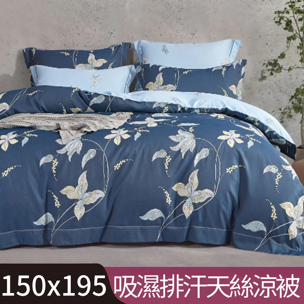 【Betrise追夢】3M吸濕排汗天絲涼被5X6.5尺一入(獨家加大尺寸)-採用3M專利吸濕排汗藥劑 歷史價格詳細信息