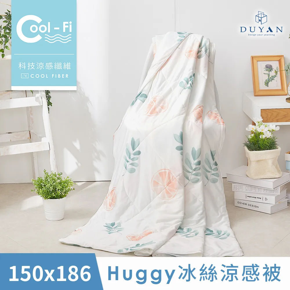 【DUYAN 竹漾】Cool-Fi Huggy 冰絲涼感被 / 恐龍童遊 台灣製 歷史價格詳細信息