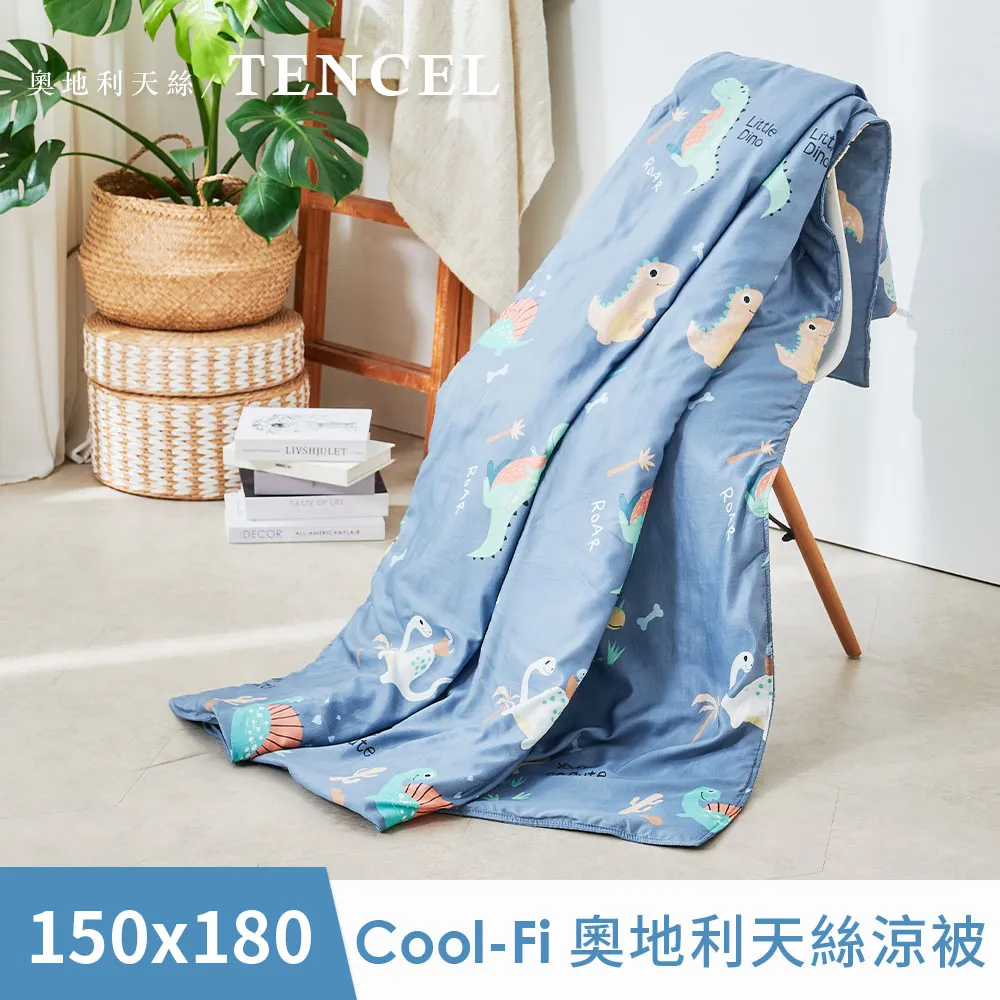 【DUYAN 竹漾】Cool-Fi 奧地利天絲涼被 / 沐風青湖 台灣製 歷史價格詳細信息