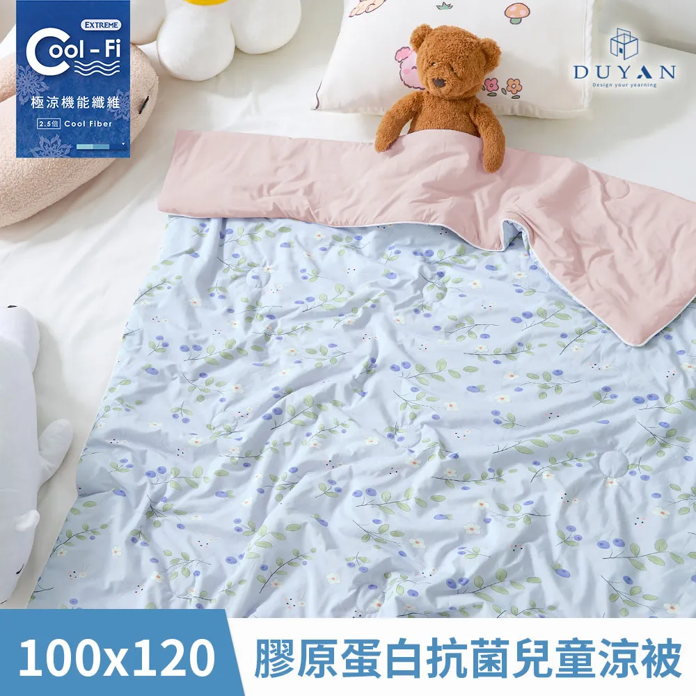 DUYAN竹漾 極輕柔舒眠天絲冬被-台灣製 棉被 天絲被-冬被 被套 被胎 雙人 歷史價格詳細信息