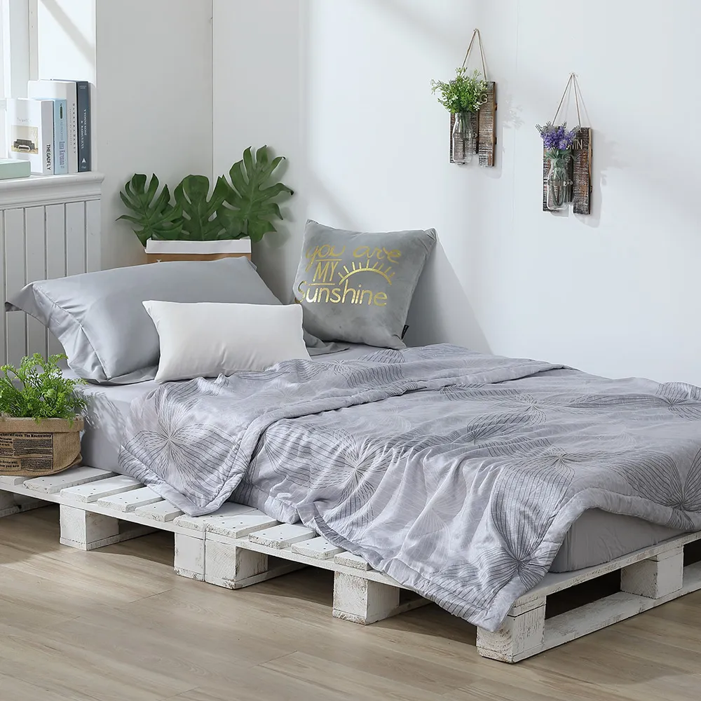 LAMINA 天絲涼被5X6.5尺-11款任選（可愛系列） 歷史價格詳細信息