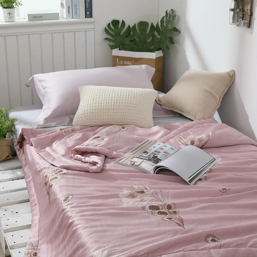 LAMINA 天絲涼被5X6.5尺-11款任選（可愛系列） 歷史價格詳細信息