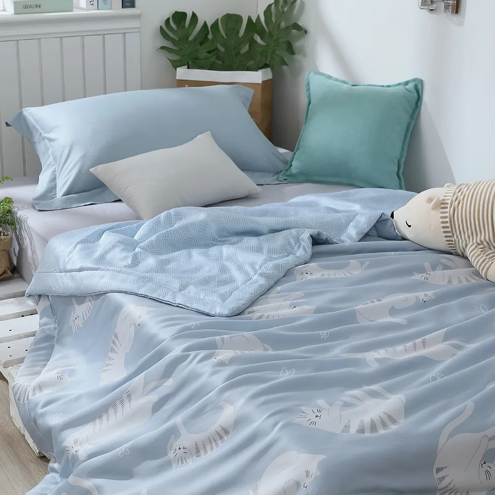 LAMINA 天絲涼被5X6.5尺-11款任選（可愛系列） 歷史價格詳細信息