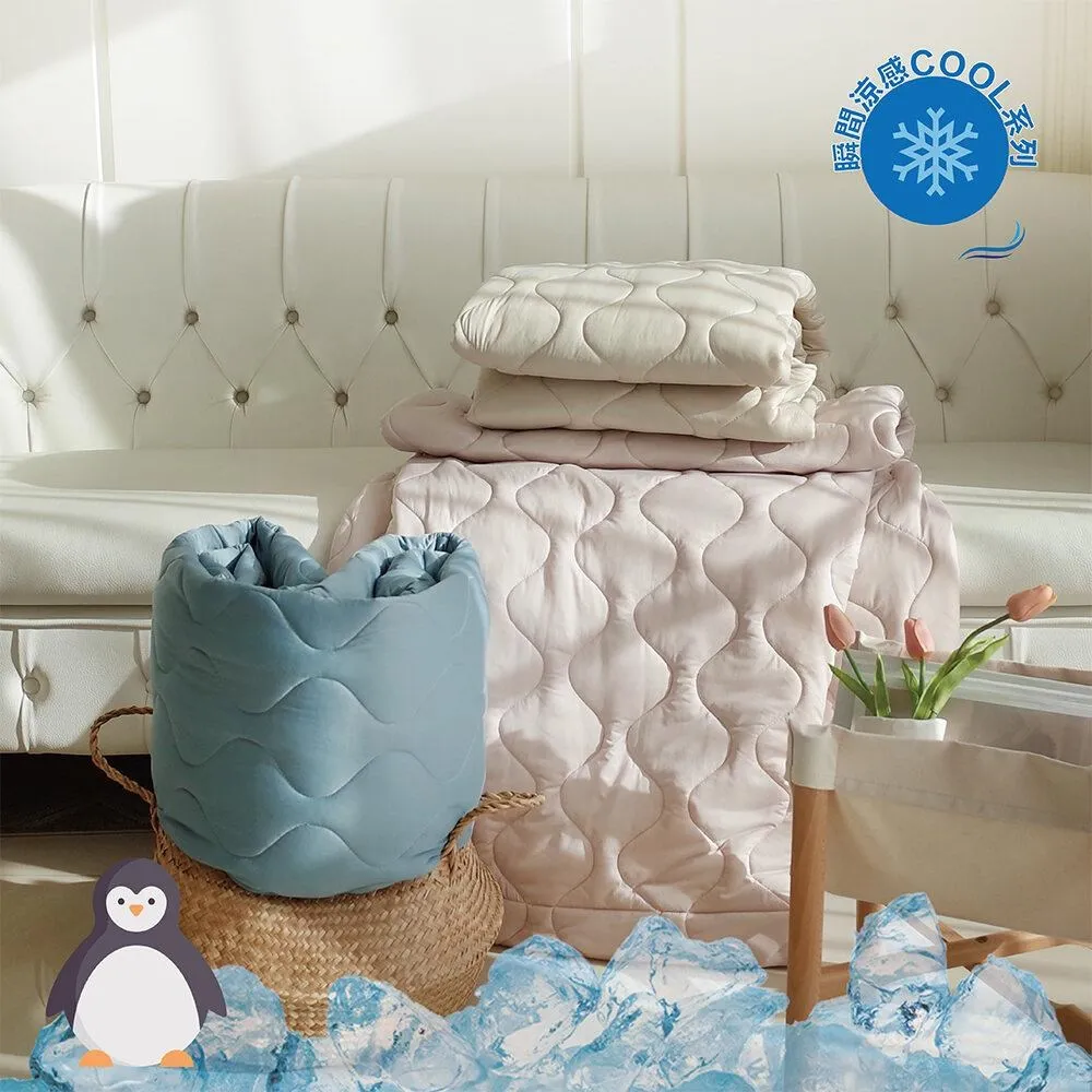 雙面素色 塔芙絨羊羔絨毯 綜合賣場 素色高雅 150cmX200cm (正負5cm) 歷史價格詳細信息