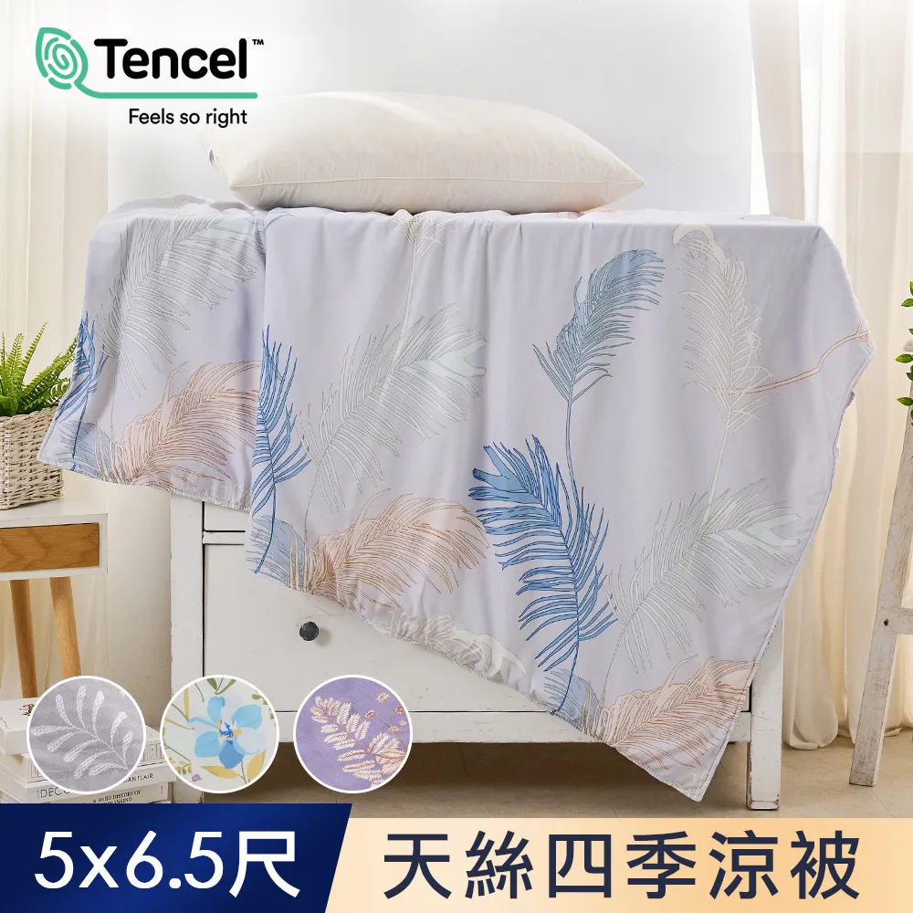 J-bedtime 萊賽爾天絲吸濕排汗枕套床包組(單人/雙人/加大) 歷史價格詳細信息