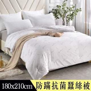 【Betrise】德國專利纖維 德絨抗菌蓄熱暖冬被-雙人6X7尺(獨家升級款3KG) 歷史價格詳細信息