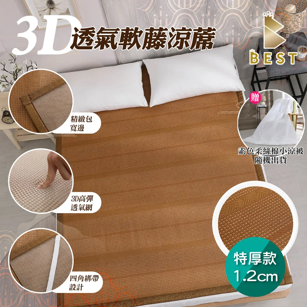 【BEST貝思特】台灣製 特厚頂級法蘭絨暖暖被 加厚款 多款任選 均一價 歷史價格詳細信息