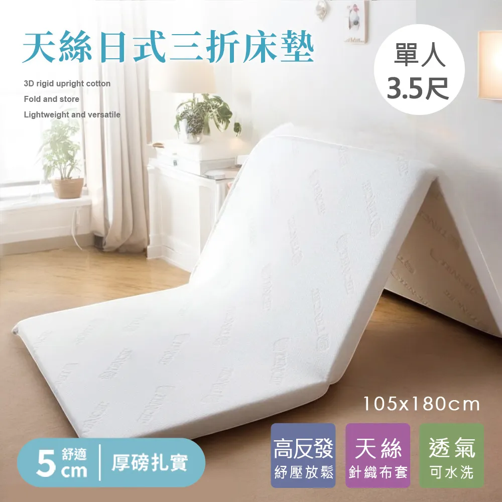 BELLE VIE【單人加大3.5尺】 台灣製 3D超輕量三折薄墊(任選) + 全棉大豆舒眠枕X1 (開學2件組) 歷史價格詳細信息