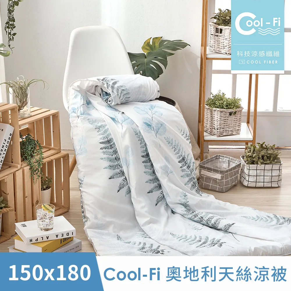 【DUYAN 竹漾】Cool-Fi 奧地利天絲涼被 / 沐風青湖 台灣製 歷史價格詳細信息