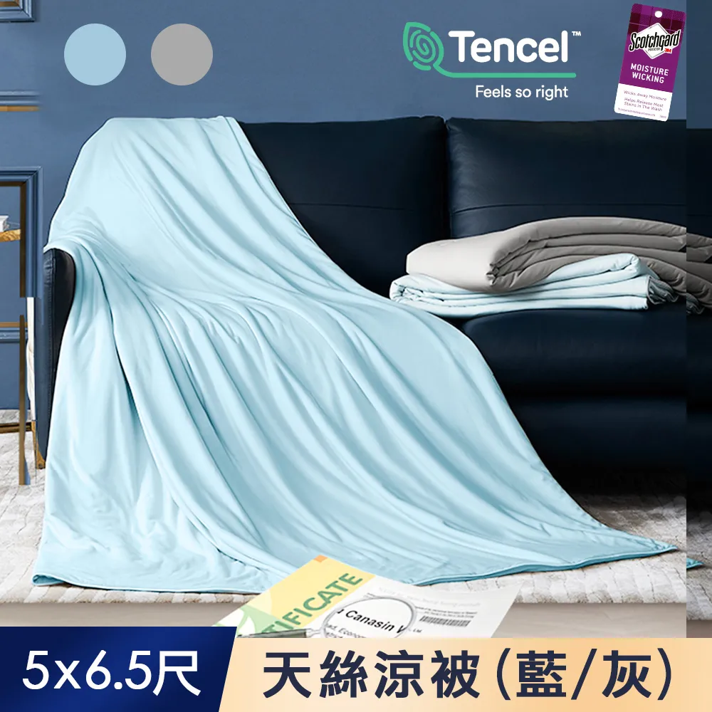 【J-bedtime】天絲TENCEL®冬夏舖棉兩用加大型兒童睡袋(相約小恐龍) 歷史價格詳細信息