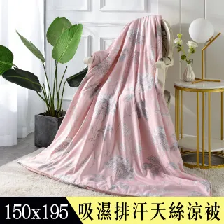 【Betrise圓點風尚】頂級100%加大60支長絨棉四件式兩用被床包組 歷史價格詳細信息