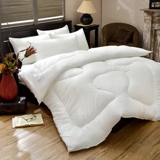 暖冬柔暖珊瑚絨四件式床包被套組｜SC生活美學寢具坊 (法蘭絨 刷毛 搖粒絨 保暖 羊羔絨 ) 歷史價格詳細信息