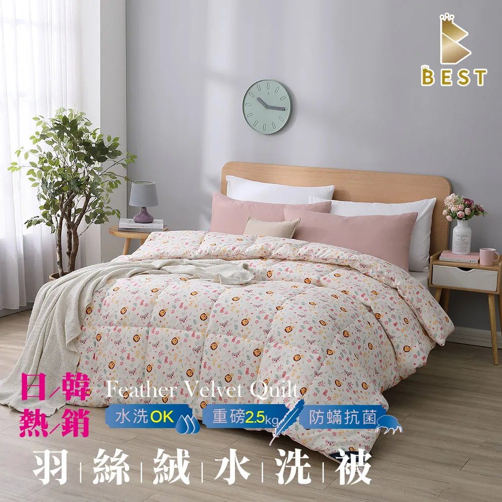 【BEST 貝思特】日韓熱銷羽絲絨水洗被 2.5KG 咖啡格調 歷史價格詳細信息
