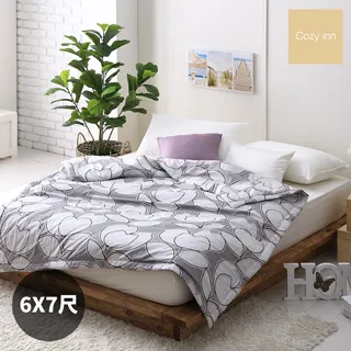 Cozy inn  花趣-200織精梳棉-涼被 歷史價格詳細信息