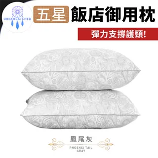 五星級御用羽之棉枕 2入 精緻嚴選素材 台灣製造 歷史價格詳細信息