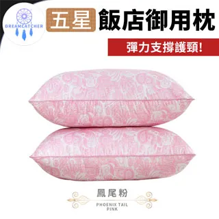五星級御用羽之棉枕 2入 精緻嚴選素材 台灣製造 歷史價格詳細信息