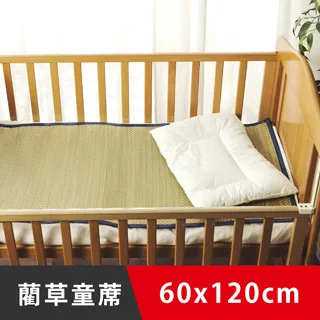 日和賞-牛仔藍雙人加大6尺天然藺草蓆 歷史價格詳細信息