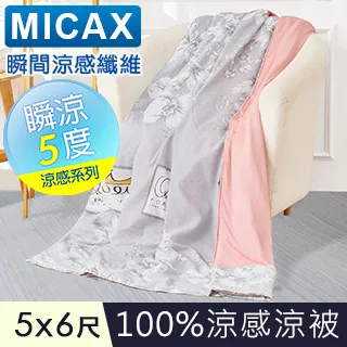 【J-bedtime】MICAX專利100%涼感紗x水洗棉透氣四季涼被5X6尺(聖誕之歌-粉) 歷史價格詳細信息