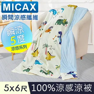 【J-bedtime】MICAX專利100%涼感紗x水洗棉透氣四季涼被5X6尺(聖誕之歌-粉) 歷史價格詳細信息