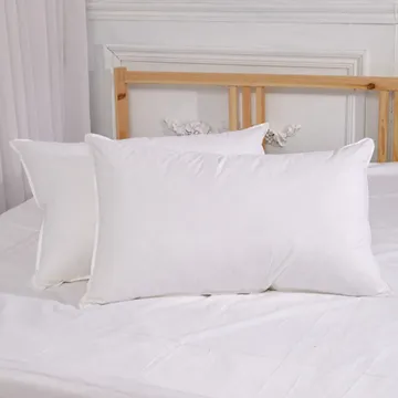 五星級飯店指定御用 水鳥羽絨枕 100%純棉表布防絨加工(二入)《英柏絲Embrace》 歷史價格詳細信息