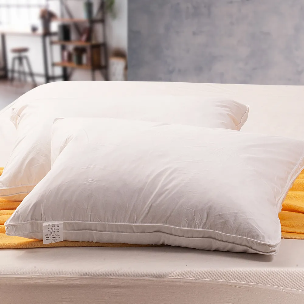 Anson純棉立體邊羽絨枕(1入) 歷史價格詳細信息