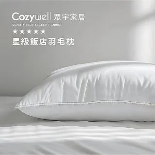 星級店床墊保墊賓館水洗防滑墊保潔墊床褥子席夢思軟墊被批發 中大號尺寸議價超夯 精品 歷史價格詳細信息