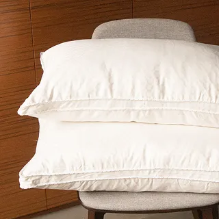 Carolan六星級匈牙利羽絨枕(1入) 歷史價格詳細信息