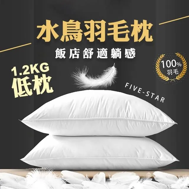 【藻土屋】MIT頂級水鳥羽毛枕飯店枕頭 羽毛枕 中枕-SUD*2 歷史價格詳細信息