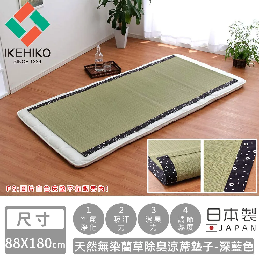 【IKEHIKO】日本天然竹涼感枕套墊(10378118) 歷史價格詳細信息