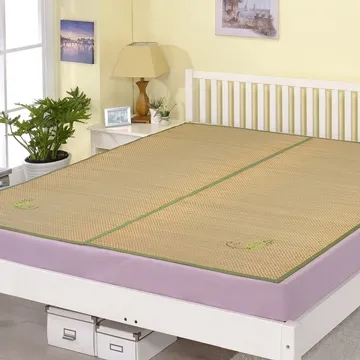 (戀鄉)塔塔米透氣涼蓆-雙人加大6尺 歷史價格詳細信息