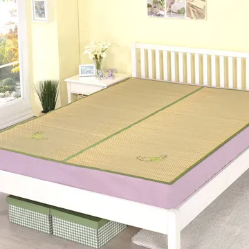 (戀鄉)塔塔米透氣涼蓆-雙人加大6尺 歷史價格詳細信息