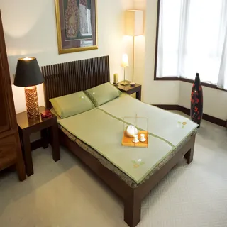 范登伯格 竹禾 天然竹雙人床蓆/涼蓆-5x6.2尺 歷史價格詳細信息