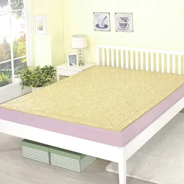 戀鄉 (藍鬱金香)大青雙面兩用折疊雙人加大床墊 歷史價格詳細信息