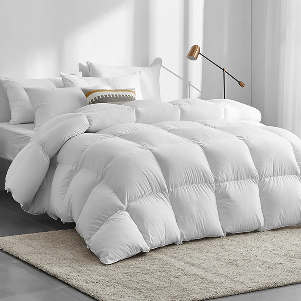 A-nice 95%頂級羽絨被 單人雙人加大 單人被 雙人被 加大被 (台灣製) 被胎 冬被芯 冬被 可入被套 095 歷史價格詳細信息