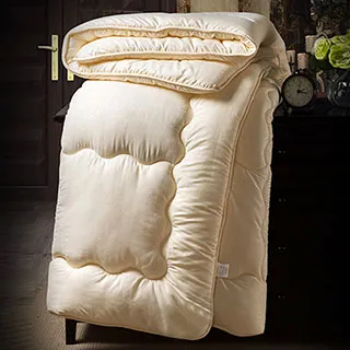 澳洲Simple Living 雙人100%安哥拉小羊毛暖冬被 歷史價格詳細信息