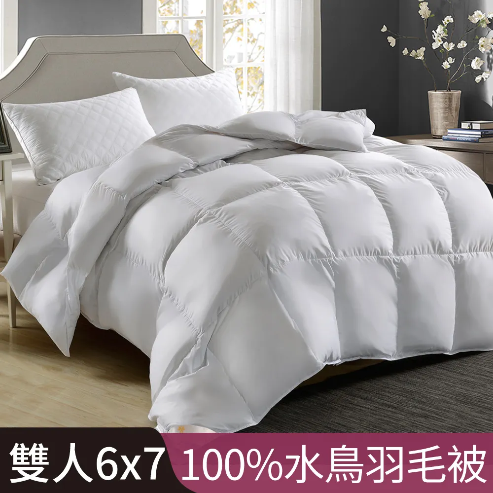 【Betrise】飯店等級-法國100%天然水鳥羽毛絨暖冬被-MIT台灣製造(單人5x7尺) 歷史價格詳細信息