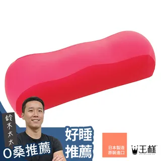 王樣的U型枕(波斯藍) 歷史價格詳細信息