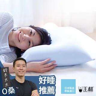 王樣的U型枕(波斯藍) 歷史價格詳細信息