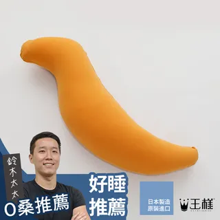 王樣的U型枕(波斯藍) 歷史價格詳細信息